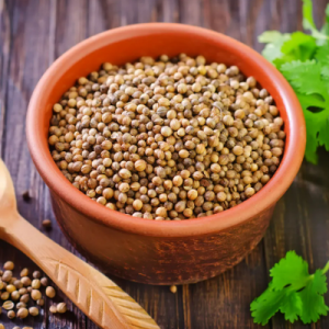 Coriander