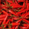 Chilli